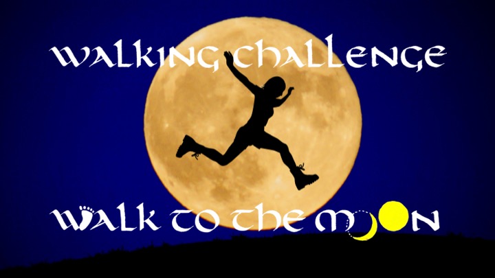 昨年度のウォーキングチャレンジ